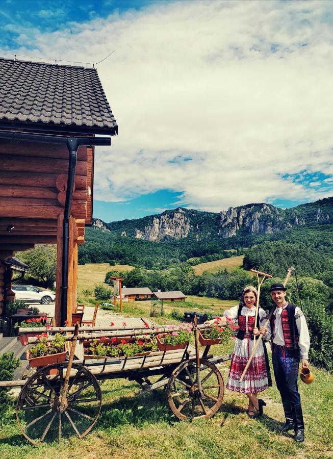 Villa Koliba Pod Skalami à Sulov Extérieur photo